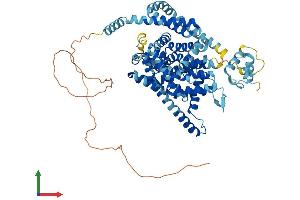 Protein Structure (PS) image for Solute Carrier Family 28 (Sodium-Coupled Nucleoside Transporter), Member 3 (SLC28A3) (AA 1-703) protein (His tag) (ABIN7565052)