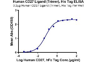 ELISA image for CD70 Molecule (CD70) (AA 50-193), (Trimer) protein (His tag) (ABIN7274322)