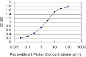 Detection limit for recombinant GST tagged SRF is approximately 0. (SRF 抗体  (AA 406-508))