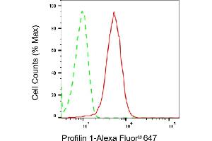 Flow cytometric analysis of Profilin 1 expression in HepG2 cells using Profilin 1 antibody (ABIN7799904), 1:2,000). (Recombinant PFN1 抗体)
