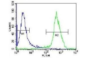 XRCC5 antibody flow cytometric analysis of Jurkat cells (green) compared to a negative control (blue).