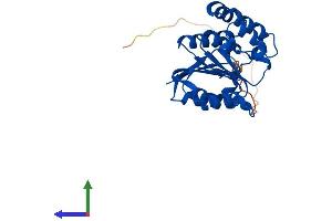 Protein Structure (PS) image for Catechol-O-Methyltransferase Domain Containing 1 (COMTD1) (AA 1-262) protein (His tag) (ABIN7546503)