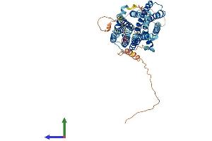 Protein Structure (PS) image for Solute Carrier Family 29 (Nucleoside Transporters), Member 4 (SLC29A4) (AA 1-530) protein (His tag) (ABIN7555330)
