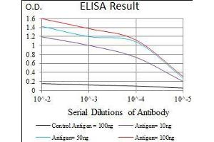 Black line: Control Antigen (100 ng), Purple line: Antigen(10 ng), Blue line: Antigen (50 ng), Red line: Antigen (100 ng), (C17orf53 抗体  (AA 282-527))