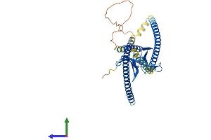 AlphaFold protein structure predicition of Mouse Recombinant Homer3 Protein, UniprotID Q99JP6