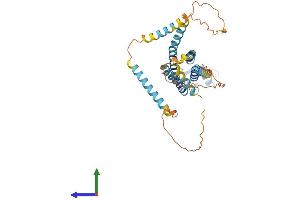 Protein Structure (PS) image for Gap Junction Protein, gamma 1, 45kDa (GJC1) (AA 1-396) protein (His tag) (ABIN7546892)