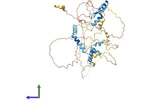 Protein Structure (PS) image for Nuclear Fragile X Mental Retardation Protein Interacting Protein 1 (NUFIP1) (AA 1-484) protein (His tag) (ABIN7561767)