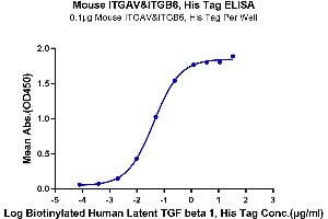 ELISA image for Integrin AlphaV Beta6 (ITGAV/ITGB6) (AA 31-988) protein (His tag) (ABIN7275074)