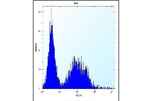 TSSK6 Antibody (C-term) (ABIN656396 and ABIN2845691) flow cytometric analysis of 293 cells (right histogram) compared to a negative control cell (left histogram). (TSSK6 抗体  (C-Term))