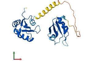 Protein Structure (PS) image for Small Nuclear Ribonucleoprotein Polypeptide B (SNRPB2) (AA 1-225) protein (His tag) (ABIN7560548)