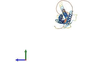 Protein Structure (PS) image for Claudin 18 (CLDN18) (AA 1-264) protein (His tag) (ABIN7556497)