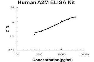 Human A2M/alpha2-Macroglobulin PicoKine ELISA Kit standard curve (alpha 2 Macroglobulin ELISA 试剂盒)