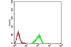 Flow cytometric analysis of Raji cells using HIST2H4A(20Me3) mouse mAb (green) and negative control (red). (Histone Cluster 2, H4a (HIST2H4A) (3meLys20) 抗体)