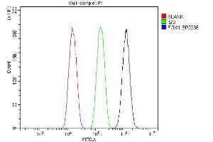 Flow Cytometry analysis of A549 cells using anti-FOXI1 antibody (ABIN7599327). (FOXI1 抗体  (AA 1-378))