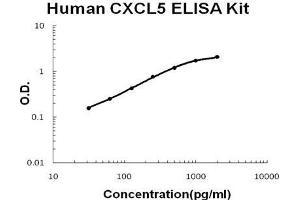Human CXCL5/ENA-78 PicoKine ELISA Kit standard curve (CXCL5 ELISA 试剂盒)