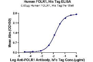 ELISA image for Folate Receptor 1 (Adult) (FOLR1) (AA 25-233) protein (His-Avi Tag) (ABIN7274667)