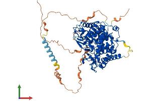 Protein Structure (PS) image for Mannosidase, Alpha, Class 1C, Member 1 (MAN1C1) (AA 1-630) protein (His tag) (ABIN7554514)