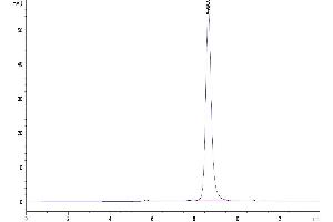 The purity of Human ADAM8 is greater than 95 % as determined by SEC-HPLC. (ADAM8 Protein (AA 17-655) (His tag))