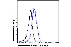 Flow Cytometry (FACS) image for anti-Purinergic Receptor P2X, Ligand-Gated Ion Channel, 4 (P2RX4) (C-Term) antibody (ABIN334455)