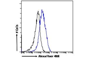 (ABIN334455) Flow cytometric analysis of paraformaldehyde fixed A431 cells (blue line), permeabilized with 0. (P2RX4 抗体  (C-Term))