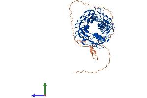 Protein Structure (PS) image for Zinc Finger Protein 71 (ZNF71) (AA 1-489) protein (His tag) (ABIN7545599)