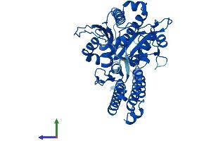 AlphaFold protein structure predicition of Human Recombinant FOLH1B Protein, UniprotID Q9HBA9
