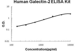 Human Galectin-2 PicoKine ELISA Kit standard curve (Galectin 2 ELISA 试剂盒)