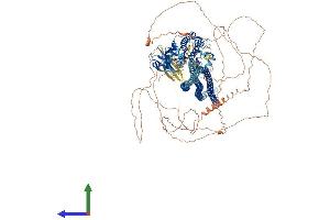 Protein Structure (PS) image for STE20-Like Kinase (SLK) (AA 1-1235) protein (His tag) (ABIN7555496)
