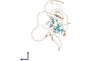 Protein Structure (PS) image for Zinc Finger Protein ZIC 1 (ZIC1) (AA 1-447) protein (His tag) (ABIN7545632)