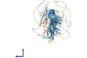 Protein Structure (PS) image for Myosin IIIA (MYO3A) (AA 1-1613) protein (His tag) (ABIN7564652)