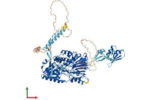 AlphaFold protein structure predicition of Human Recombinant CPSF2 Protein, UniprotID Q9P2I0 (CPSF2 Protein (AA 1-782) (His tag))