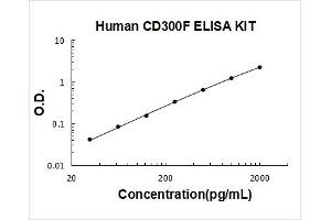 Immune Receptor Expressed On Myeloid Cells 1 (IREM1) ELISA Kit