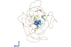AlphaFold protein structure predicition of Mouse Recombinant Map10 Protein, UniprotID Q8BJS7 (MAP10 Protein (AA 1-891) (His tag))