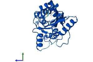 AlphaFold protein structure predicition of Mouse Recombinant Phospho2 Protein, UniprotID Q9D9M5