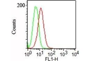 Flow Cytometry of NCCIT cells using Podocalyxin Mouse Monoclonal Antibody (3D3). (PODXL 抗体  (Extracellular Domain))