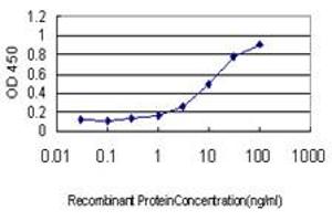 Detection limit for recombinant GST tagged STAT4 is approximately 0. (STAT4 抗体  (AA 1-748))