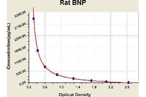 Diagramm of the ELISA kit to detect Rat BNPwith the optical density on the x-axis and the concentration on the y-axis. (BNP ELISA 试剂盒)