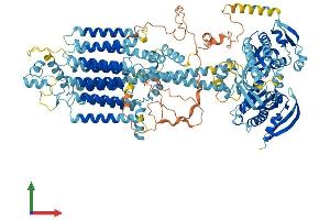 AlphaFold protein structure predicition of Mouse Recombinant Adcy6 Protein, UniprotID Q01341