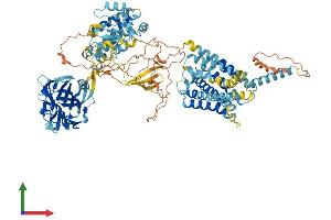 AlphaFold protein structure predicition of Human Recombinant ADGRD2 Protein, UniprotID Q7Z7M1 (ADGRD2 (AA 1-963) protein (His tag))