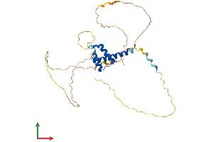 Protein Structure (PS) image for Caudal Type Homeobox 2 (CDX2) (AA 1-313) protein (His tag) (ABIN7553275)