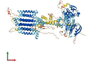 AlphaFold protein structure predicition of Human Recombinant ADCY3 Protein, UniprotID O60266