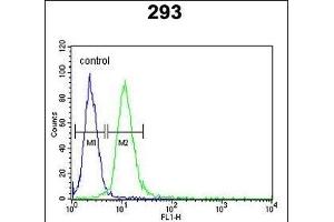 AIFM1 Antibody (N-term) (ABIN652856 and ABIN2842557) flow cytometric analysis of 293 cells (right histogram) compared to a negative control cell (left histogram).