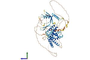 Protein Structure (PS) image for Elongation Factor, RNA Polymerase II, 2 (ELL2) (AA 1-639) protein (His tag) (ABIN7563729)