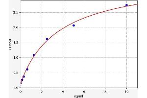 Typical standard curve (MKL1 ELISA 试剂盒)