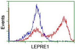 HEK293T cells transfected with either RC222535 overexpress plasmid (Red) or empty vector control plasmid (Blue) were immunostained by anti-LEPRE1 antibody (ABIN2455935), and then analyzed by flow cytometry. (LEPRE1 抗体)