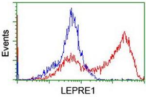 HEK293T cells transfected with either RC222535 overexpress plasmid (Red) or empty vector control plasmid (Blue) were immunostained by anti-LEPRE1 antibody (ABIN2455935), and then analyzed by flow cytometry. (LEPRE1 抗体)