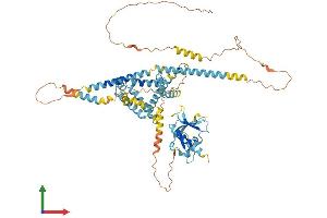 AlphaFold protein structure predicition of Mouse Recombinant Gramd4 Protein, UniprotID Q8CB44 (GRAMD4 Protein (AA 1-633) (His tag))