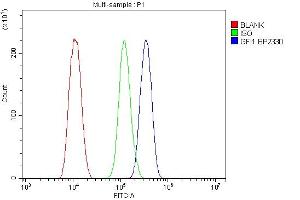 Flow Cytometry analysis of THP-1 cells using anti-GFI1 antibody (ABIN7599380). (GFI1 抗体  (AA 1-422))