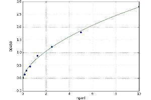 A typical standard curve
