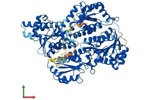 Protein Structure (PS) image for phosphofructokinase, Platelet (PFKP) (AA 1-784) protein (His tag) (ABIN7550679)